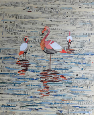 flamants roses